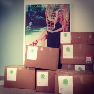 '95 Gumtex model shipments - '00