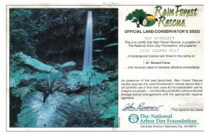 '96 Rain Forest Rescue