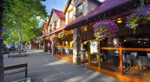 Bayshore Inn book signings